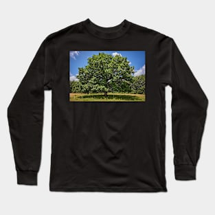 Centennial oak tree Long Sleeve T-Shirt